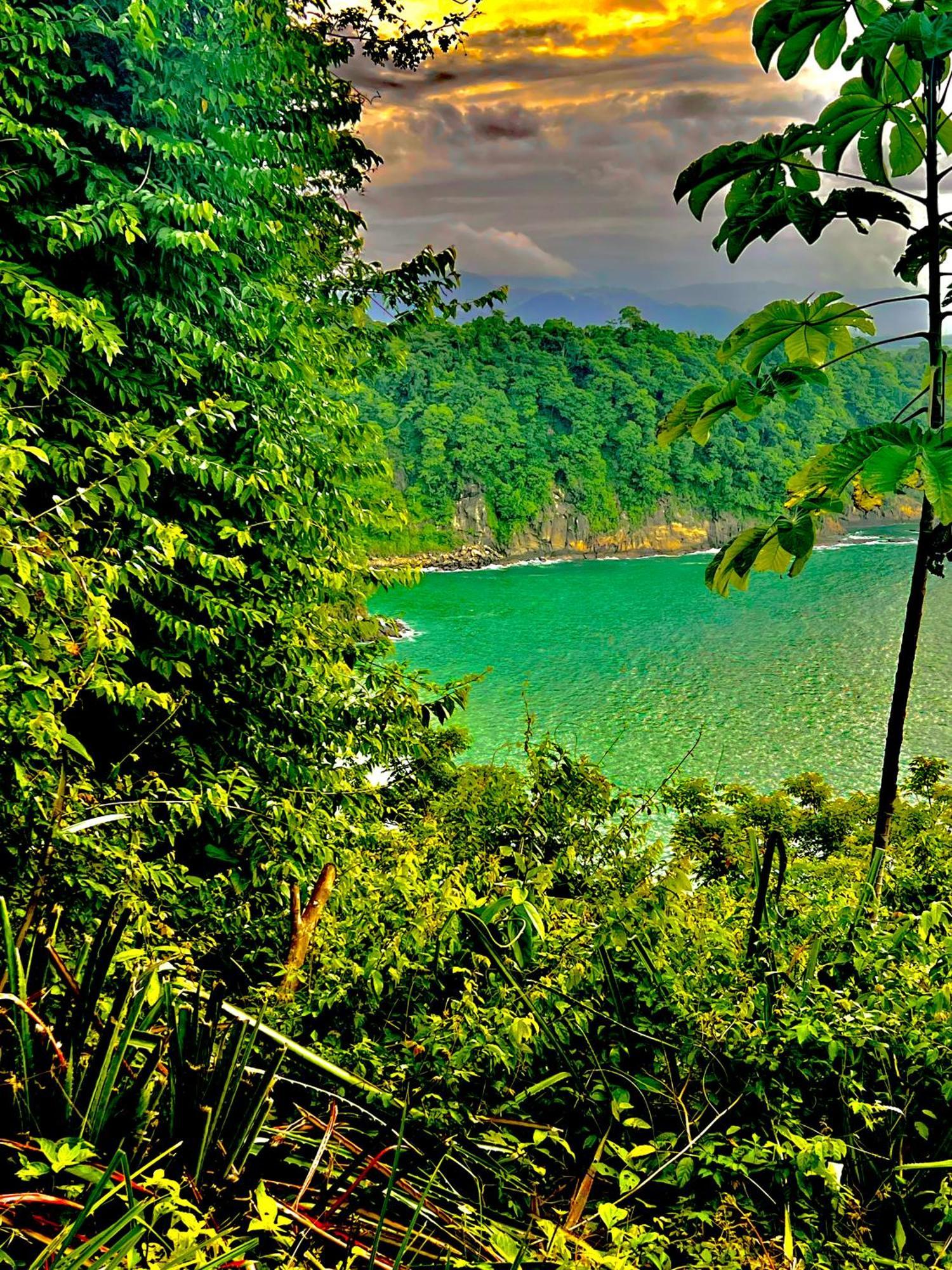 Beachfront Paradise Manuel Antonio Exterior photo